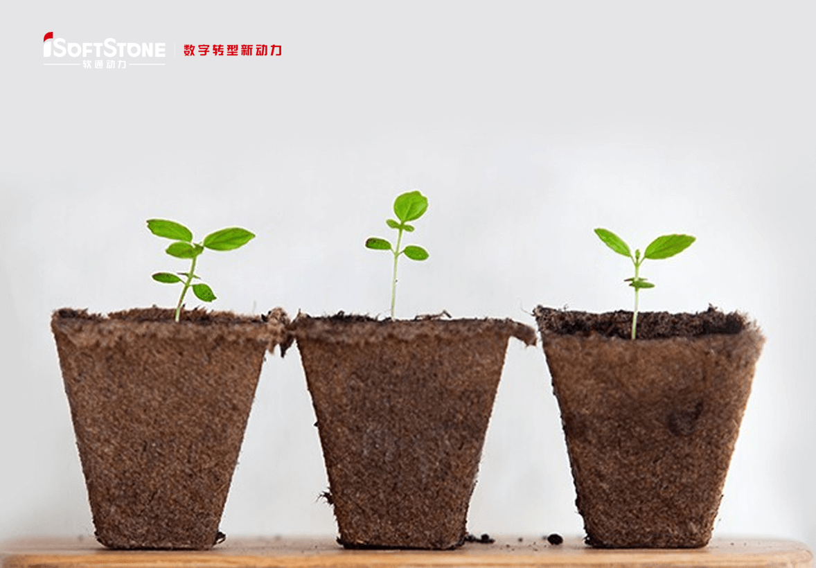 ѧgľ@AܤθǵطӹːۤɤiSoftStone٤ӹ֧Ԯ