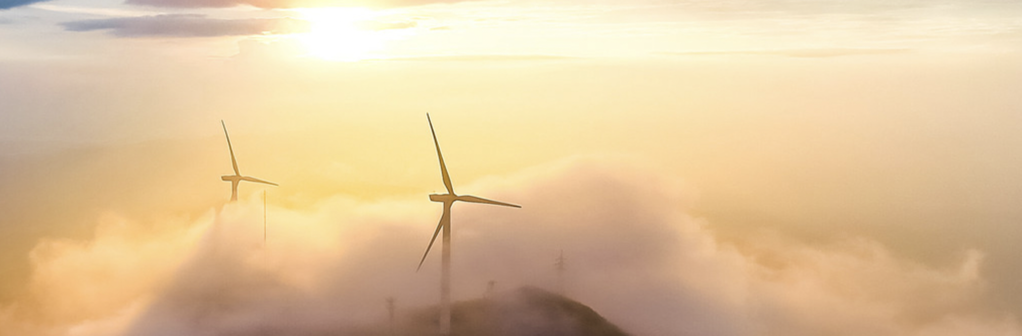 beats365(й)-Ψһٷվ